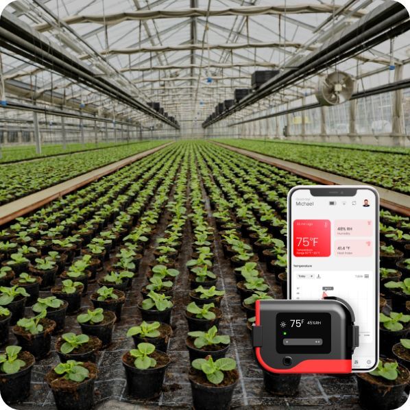 Wireless Greenhouse Temperature & Humidity Monitoring System with