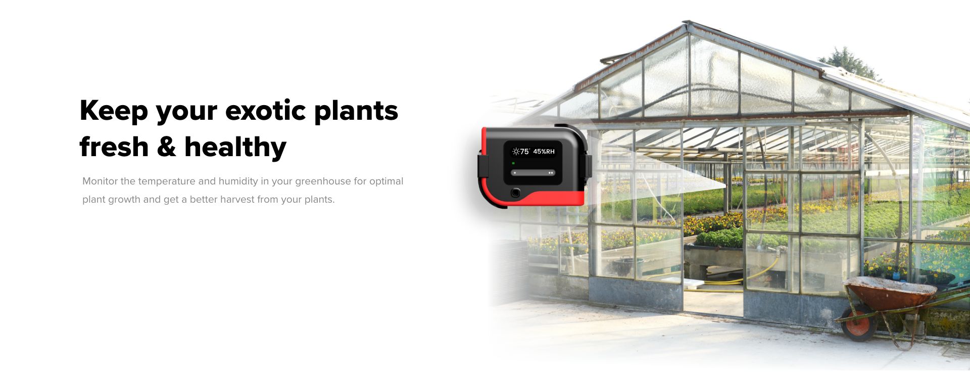 Temperature and humidity monitoring for greenhouses