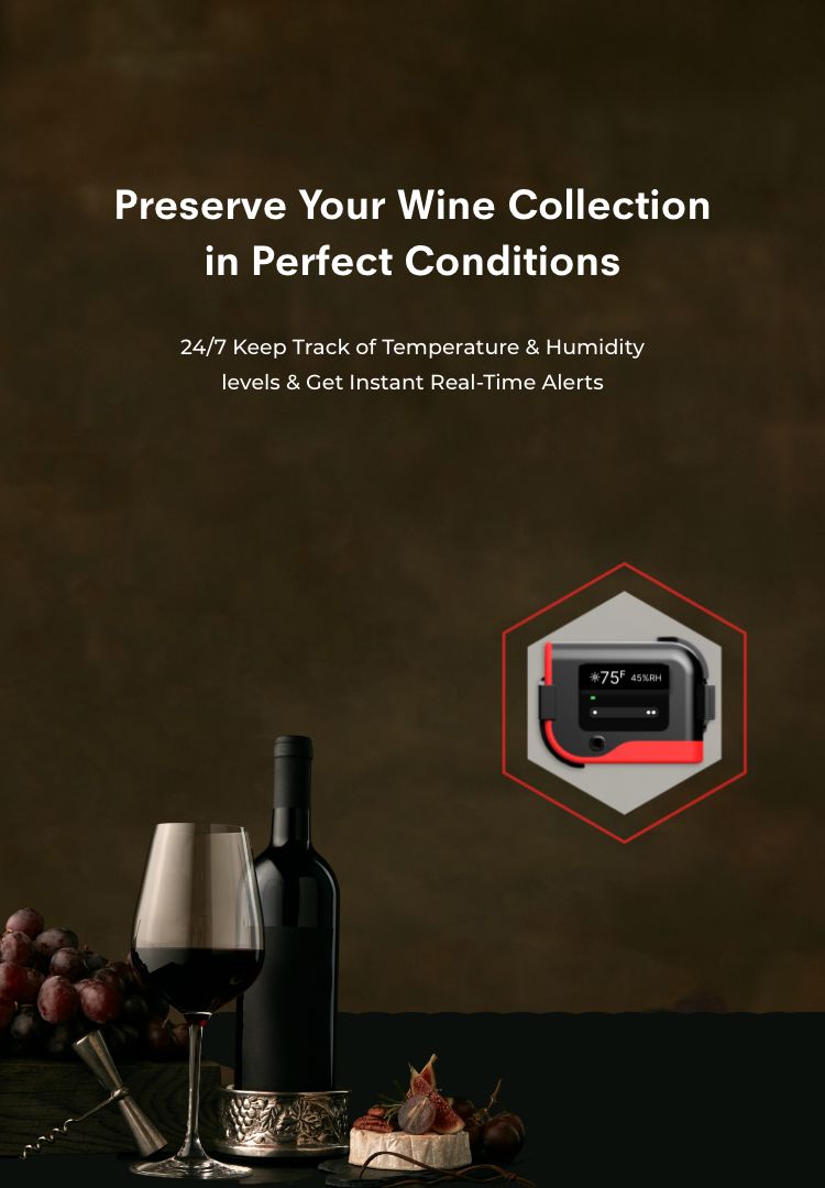 RealTime Monitoring for Your Wine Cellar Get Wifi Temperature
